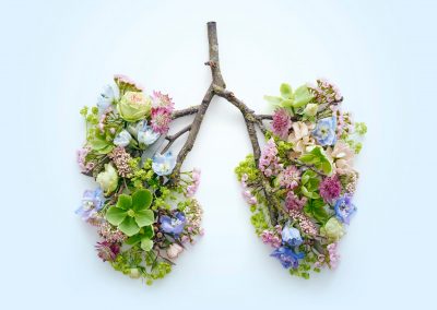 breathing-machine-lungs-doctors